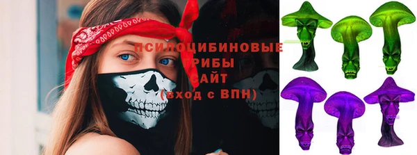 ешки Арсеньев