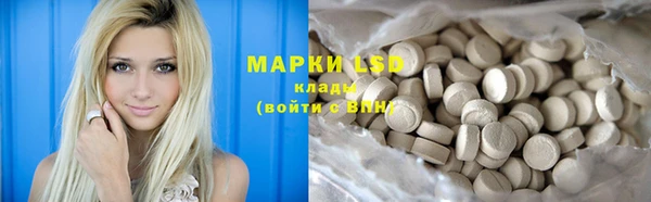 прущие грибы Балахна