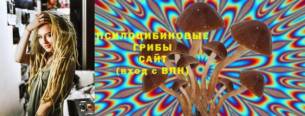 прущие грибы Балахна