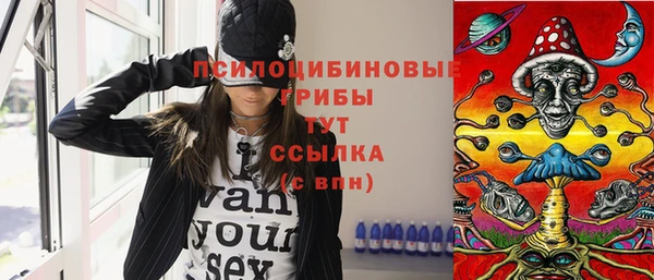 соль ск Балабаново