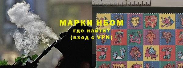 прущие грибы Балахна
