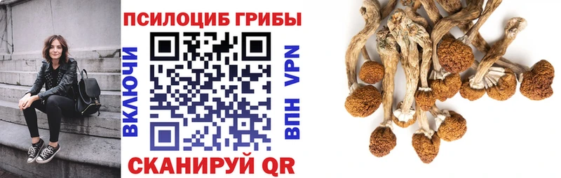 Псилоцибиновые грибы Magic Shrooms  Городец 